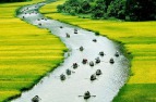  Quần thể danh thắng Tràng An trong chiến lược phát triển du lịch Ninh ...