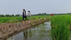 Nâng tầm du lịch nông nghiệp đồng bằng sông Cửu Long
