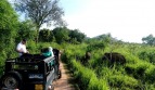Khám phá Sri Lanka - hòn ngọc Ấn Độ Dương: Bài 3: Những điều chỉ ...