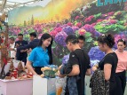 Diamond Bay Hotel Nha Trang – Dấu ấn tinh hoa du lịch Khánh Hòa tại ...